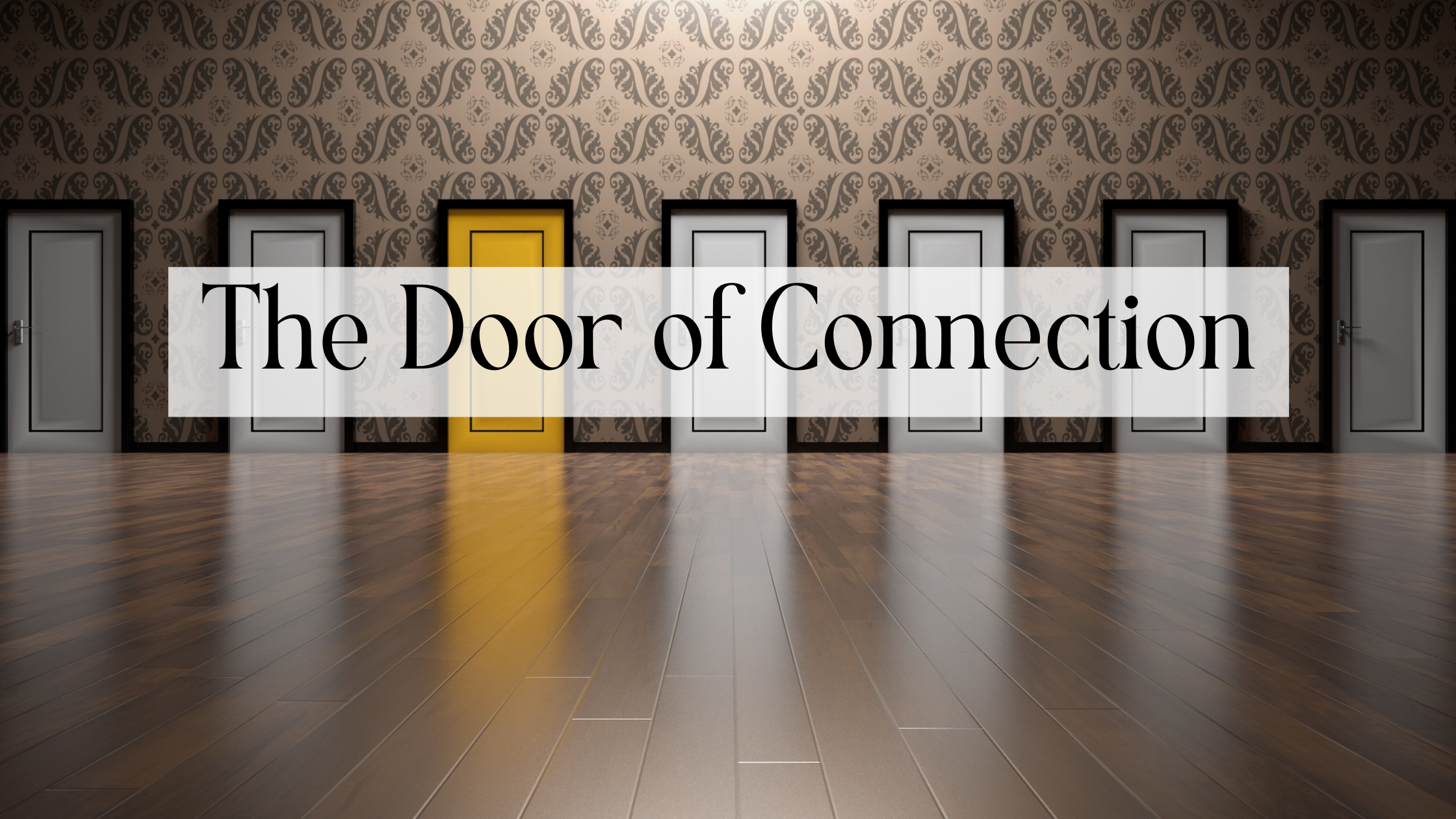 Devo Blog Banner-11 door, connection, love