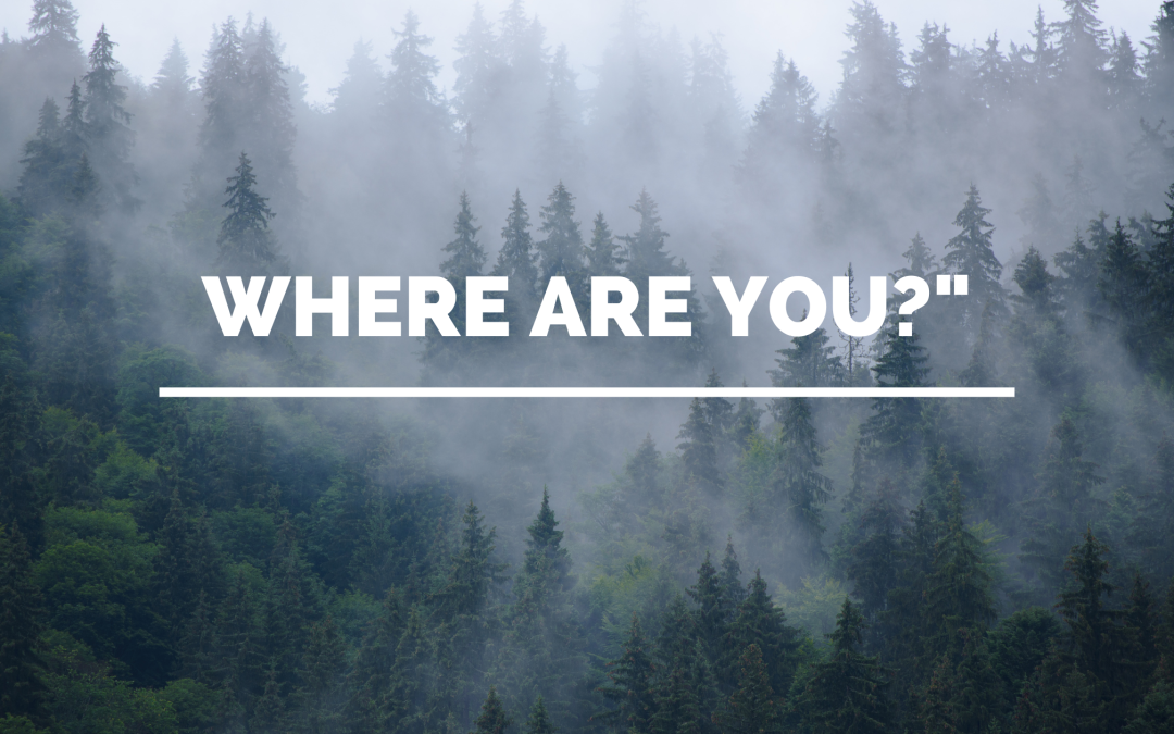 Where Are You?