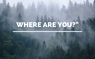 Where Are You?